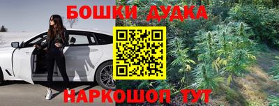 дживик Лесосибирск
